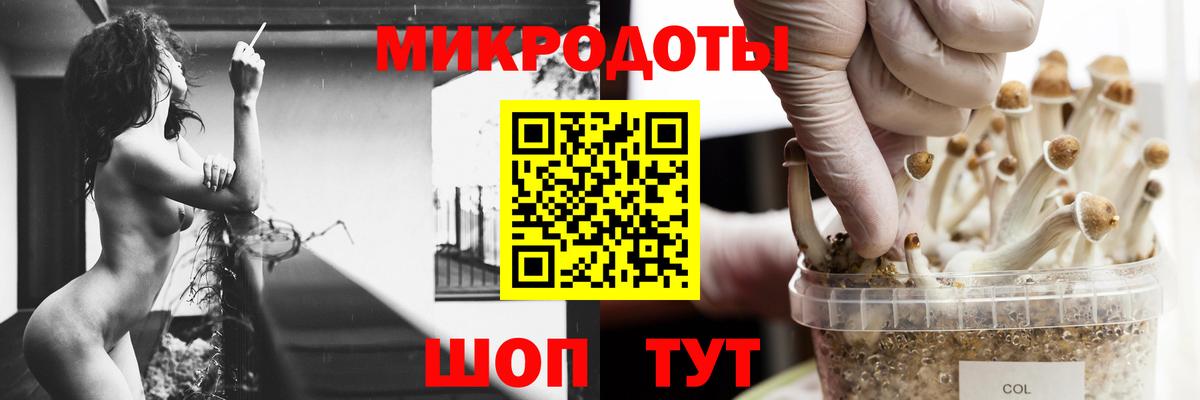 Ноябрьск  Псилоцибиновые грибы MAGIC MUSHROOMS  Вход с VPN 